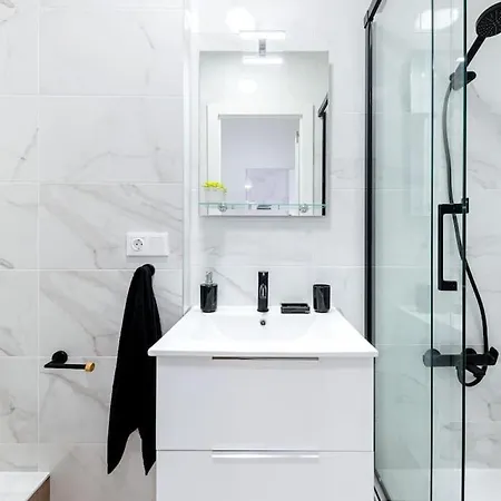 公寓 Gases 1br Penthouse 托雷维耶哈