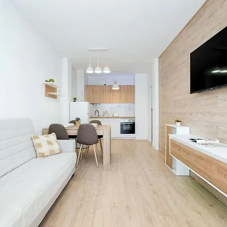 公寓 Gases 1br Penthouse 托雷维耶哈